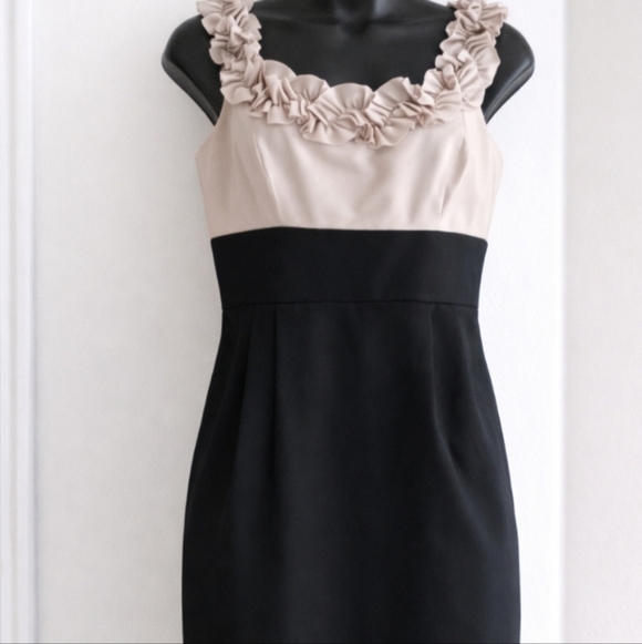 Maggy London |  Sophisticated Black and Beige Cocktail Dress - Picture 2 of 8